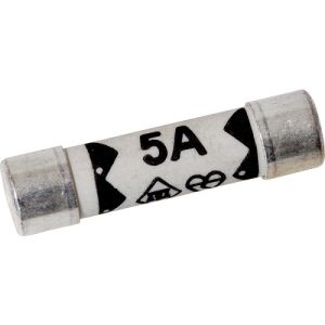 LYVIA 5A PLUG TOP FUSE (EACH)