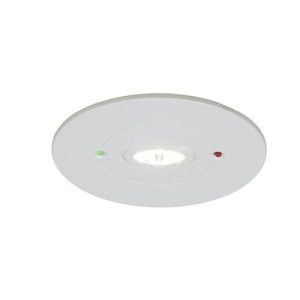 ANSELL RAVEN 3W SELF-TEST N/MAINT ESCAPE ROUTE DOWNLIGHT