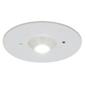 ANSELL RAVEN 3W SELF-TEST N/MAINT OPEN AREA DOWNLIGHT
