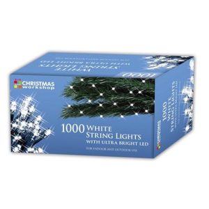 1000 LED CHASER LIGHTS IN/OUT WHITE