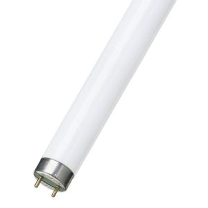 FLU TUBE T8 13" 10W COOL WHITE 840