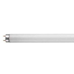 5FT 50W 1INCH H/F FLU TUBE