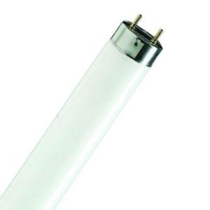 6FT 70W T8 1" BUTCHER/FOOD TUBE COL76