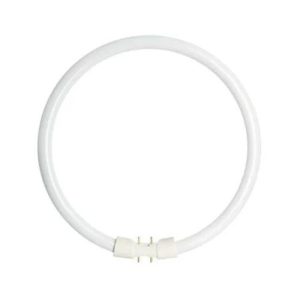 22W T5 CIRC FLU 228MM 2 + 2PINS 2GX13 WARM WHITE