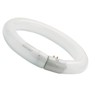 32W T9 CIRC FLU TUBE 300MM G10Q DAYLIGHT 865
