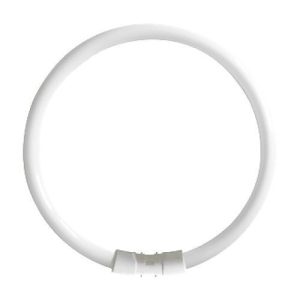 40W T5 CRIC FLU 302MM 2 + 2PINS 2GX13 COOL WHITE