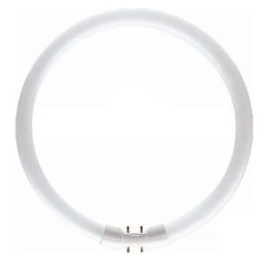 OSRAM 40W T5 CIR 302MM 2 + 2PINS 2GX13 COOL WHITE