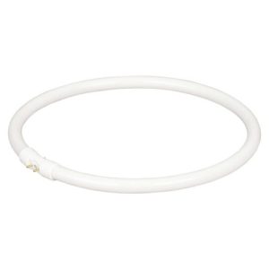 55W T5 CIRC FLU 302MM 2 + 2PINS 2GX13 COOL WHITE