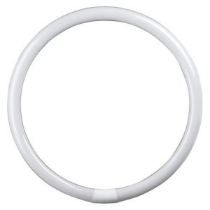 60W T9 CIRC FLU 400MM G10Q COOL WHITE 840