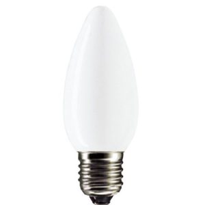 60W ES ROUGH SERVICE OPAL 240V