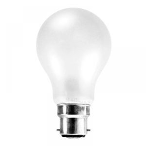 100W BC ROUGH SERVICE 110V
