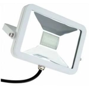 DELTECH 10W GREEN LED FLOODLIGHT