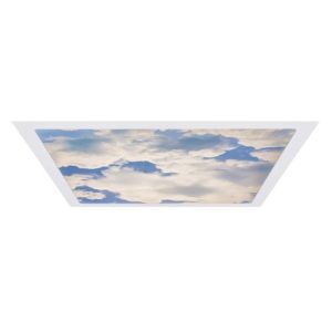 DEXTRA 4FT SINGLE PRISMATIC DIFFUSER