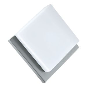 EGLO INFESTO 1 STAINLESS STEEL WHI 1-LT FTG