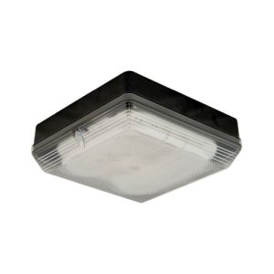 FERN HOWARD MINIMAX 28W 2D HF W/CL