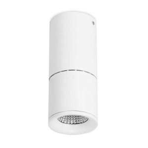 FORLIGHT CEILING FIXTURE IP23 TUB BIG LED 12.6W 4000K WHITE 1171LM