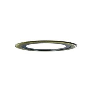 INTEGRAL EVOFIRE FIRE RATED DOWNLIGHT 70-100MM CUTOUT IP65 ANTIQUE BRASS ROUND ADAPTER INTEGRAL