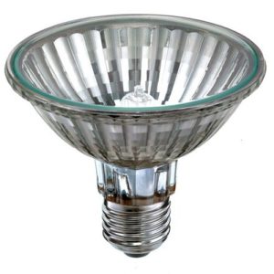 PAR30 R95 95MM 75W ES 240V FLOOD 05053