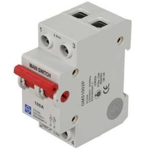 LEWDEN 100A DP MAIN SWITCH