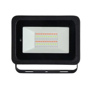 LUMINEUX  (PRE-WIRED) TRING 10W RGBW LED FLOODLIGHT WITH REMOTE