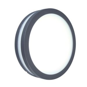 LUTEC TITAN DARK GREY WALL & CEILING LIGHT