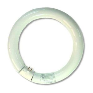 22W CIRCULAR ULTRA VIOLET TUBE (I607)