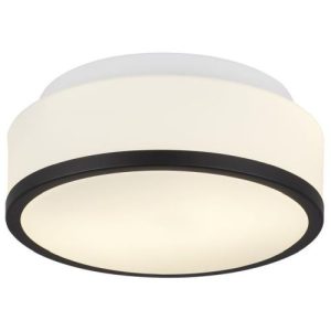 SEARCHLIGHT CHEESE 2LT FLUSH - BLACK, WHITE GLASS SHADE, IP44