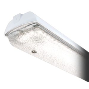 THORLUX 5FT 58W LED M3 LIGATURE RESISTANT FITTING