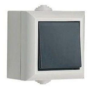 WATERPROOF 10A 1G 2W SWITCH IP54