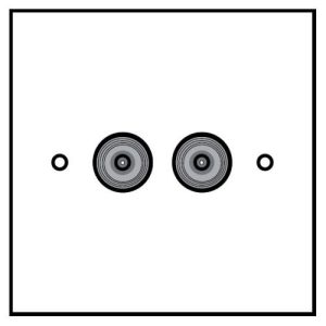 TWIN FLUSH SATELLITE PLATE
